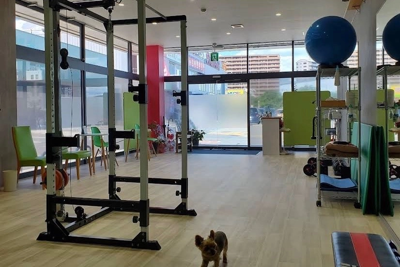 松野豊 の写真 3/3